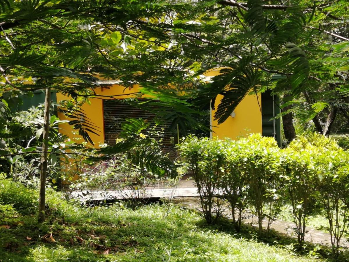Bed and breakfast Aroma De Campo