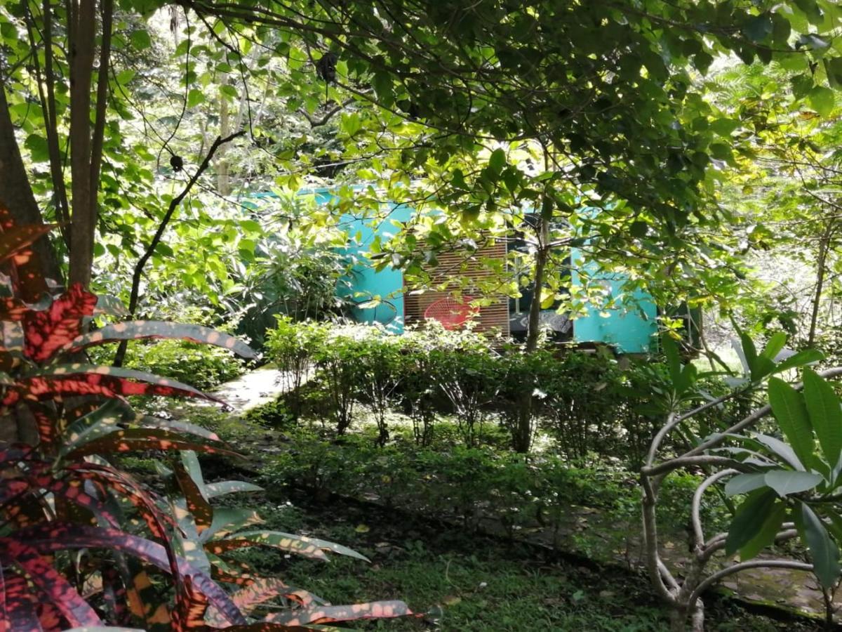 Aroma De Campo Curubande